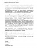 MARCO TEORICO PROBIOTICOS