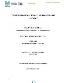 DIMENSIONES DEL CUIDADO. Página 1