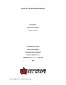 ANALISIS DEL CASO INVESTIGADOR FINANCIERO