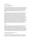 Diseño Organizacional. Tipo del diseño organizacional