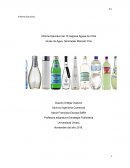 Informe Ejecutivo las 10 mejores Aguas de Chile