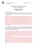 Ayudantia pre solemne microeconomia