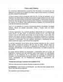 Fisura labial