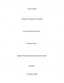 Aspectos Psicológicos Del Comportamiento Humano