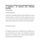 Afectación de la inseguridad en México en la importación de productos: Caso Tamaulipas 2019-2020