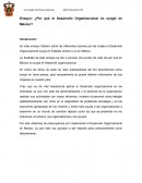 Ensayo: ¿Por qué el Desarrollo Organizacional no surgió en México?