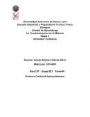 LMyT Opinion de Metales y No Metales