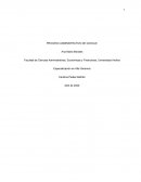 PROCESO ADMINISTRATIVO DE GOOGLE