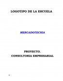 PROYECTO DE UNA CONSULTORIA