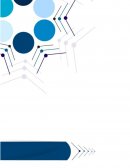 EL MERCADO vs LA SOCIEDADE CONSUMO