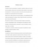 Plataformas virtuales