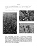 SIERRA PELADA, LA MINA DE ORO EN BRASIL