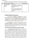 CRONOGRAMA DE TRABAJOS PRÁCTICOS N° 1 DE PSICOLOGIA LABORAL