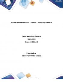 Informe individual programacion. Página 1