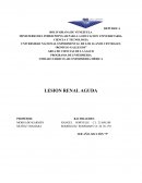 ENFERMERIA MÉDICA LESION RENAL AGUDA