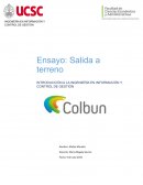 Ensayo Salida a Terreno COLBUN