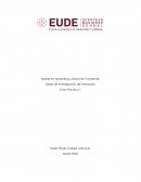 Bases de investigación de mercados - Caso 1