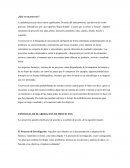 TIPOLOGIA DE ELABORACION DE PROYECTOS