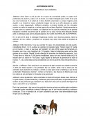 JEFFERSON ORTIZ (PERSONAJE QUE ADMIRO)