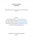 Proyecto de Analisis Econometrico