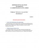 Evidencia: “Definiendo el mercado Meta”
