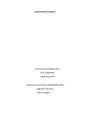 Construyendo Integrales