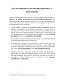 CASO: DISTRIBUIDORA DE GAS NATURAL COMPRIMIDO SA