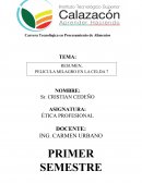 PELICULA MILAGRO EN LA CELDA 7