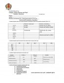 Prueba Parcial de Formulación y Nomenclatura