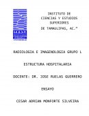 Ensayo estructura hospitalaria