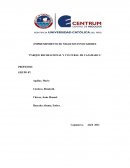 EMPRENDIMIENTO DE NEGOCIOS INNOVADORES “PARQUE RECREACIONAL Y CULTURAL DE CAJAMARCA”