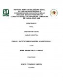 INSTITUTO MEXICANO DEL SEGURO SOCIAL
