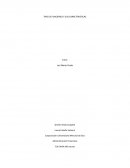 TIPO DE FUNCIONES Y SUS CARACTERISTICAS