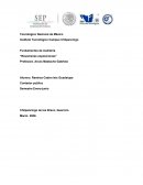 Fundamentos de Auditoria “Resúmenes exposiciones”