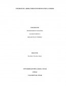 INFORME DE LABORATORIO FENOMENOS ONDULATORIOS