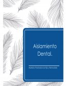 Aislamiento Dental