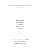 Proyecto de Innovación Consolidación Idea del Negocio
