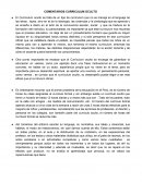 COMENTARIOS CURRICULUM OCULTO