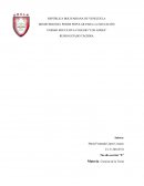 Preguntas metamorfosis. Ciencias de la Tierra