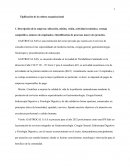 Tipificación de la cultura organizacional