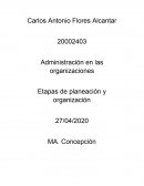 Administración en las organizaciones Etapas de planeación y organización
