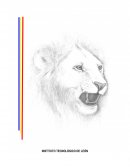 Reporte circuitos reactancias