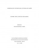 INFORME RESULTADOS DE INDICADORES