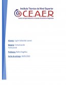 INFORME SOBRE PLAN DE COMUNICACIÓN INTERNA GRUPO “ARCOR”