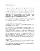 Características labor expulsion