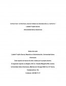 ESTRUCTURA Y ESTRATEGIA, NUEVAS FORMAS DE ORGANIZACIÓN, EL CONTEXTO