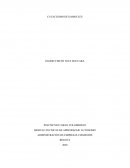 Analogia entre el arca de NÓE y el arca de la memoria