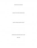 RESUMEN IDEAS DE NEGOCIOS