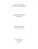 EVIDENCIA 3: CASOS EMPRESARIALES