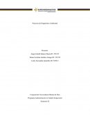 Proyecto de Diagnóstico Ambiental